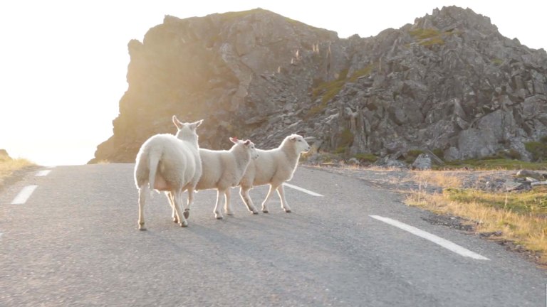 allonen_running_views-5