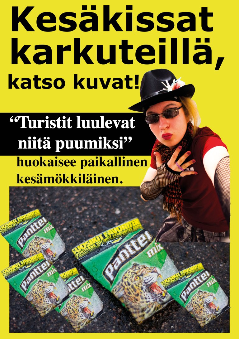 miska_allonen_kesakissat